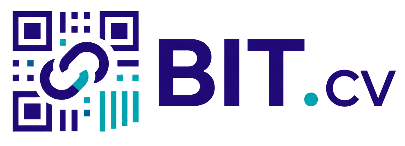 BIT.cv